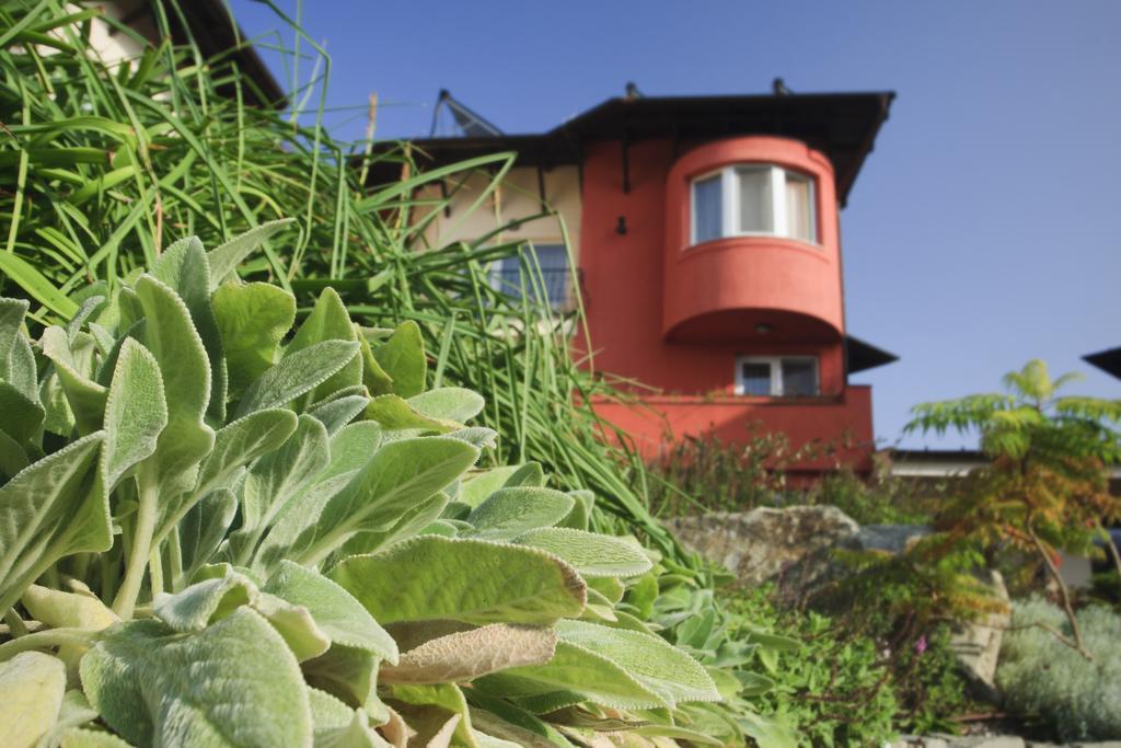 Szonyi Garden Hotel Pest Βουδαπέστη Εξωτερικό φωτογραφία