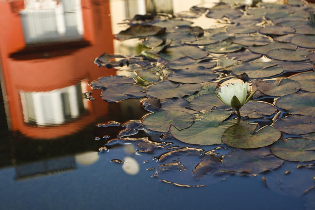 Szonyi Garden Hotel Pest Βουδαπέστη Εξωτερικό φωτογραφία