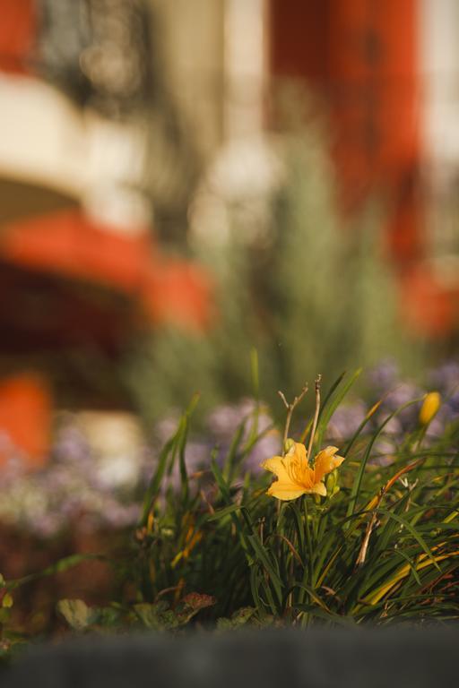 Szonyi Garden Hotel Pest Βουδαπέστη Εξωτερικό φωτογραφία