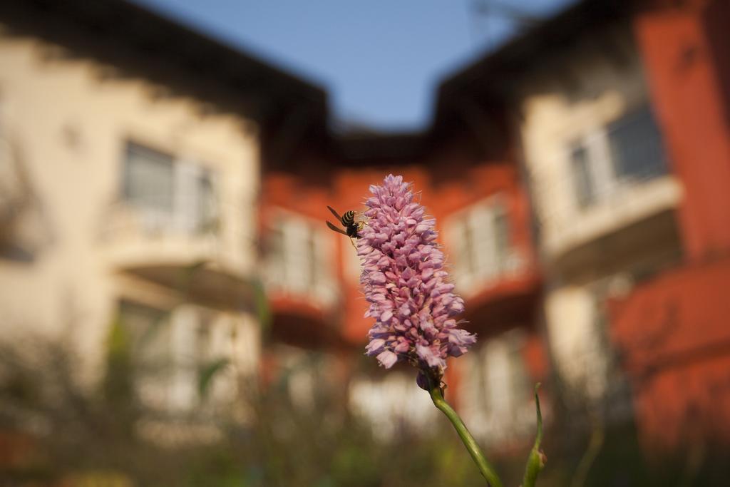 Szonyi Garden Hotel Pest Βουδαπέστη Εξωτερικό φωτογραφία